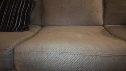 Snapshot of roger59267 chatting on November 10, 2025, 5:06 am roger59267 online show from November 10, 2025, 5:06 am