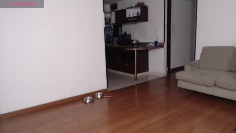 Snapshot of rogger_physique chatting on February 21, 2025, 3:12 am Rogger online show from February 21, 2025, 3:12 am