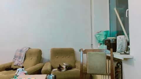 Snapshot of rosa843850 chatting on February 28, 2025, 1:47 pm rosa843850 online show from February 28, 2025, 1:47 pm