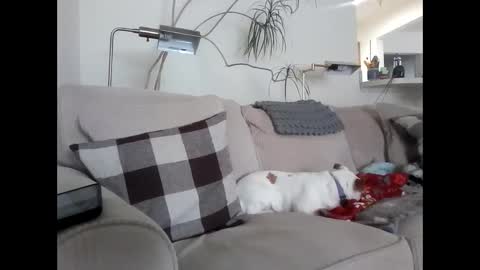 Snapshot of rustyx22 chatting on March 6, 2025, 4:07 pm Rusty online show from March 6, 2025, 4:07 pm