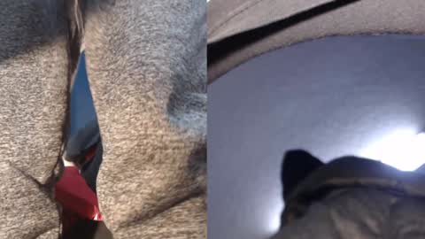 Snapshot of ryushi009 chatting on January 21, 2025, 5:38 am Ryushi009 online show from January 21, 2025, 5:38 am