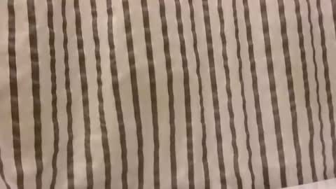 Dee online show from October 29, 2025, 1:13 pm