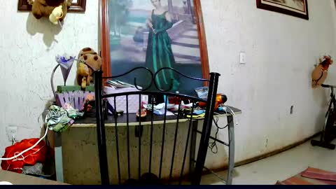 Snapshot of sailor_ruby7 chatting on October 2, 2025, 9:11 pm ruby chocoholic cakeholic coffeeholic cookieholic online show from October 2, 2025, 9:11 pm