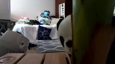 Snapshot of salis1981 chatting on February 8, 2025, 1:54 am salis1981 online show from February 8, 2025, 1:54 am