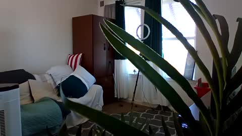 Snapshot of salis1981 chatting on March 3, 2025, 5:39 pm salis1981 online show from March 3, 2025, 5:39 pm