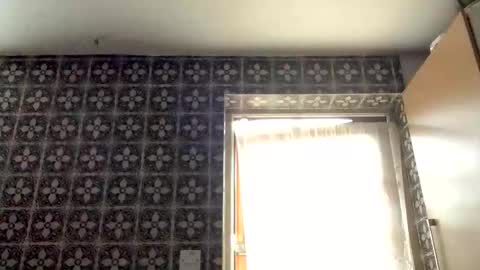 Snapshot of samegee chatting on October 16, 2025, 7:20 am samegee online show from October 16, 2025, 7:20 am