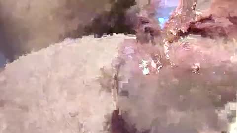 Snapshot of sappyhaha chatting on November 12, 2025, 11:21 am sappyhaha online show from November 12, 2025, 11:21 am