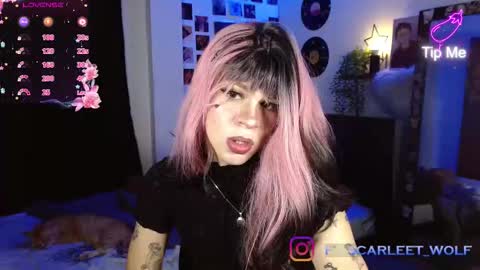 Snapshot of scarleettwolff chatting on November 3, 2025, 10:42 pm scarlet wolfindependient model online show from November 3, 2025, 10:42 pm