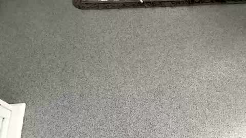 Snapshot of scottyc48 chatting on November 8, 2025, 10:04 am scottyc48 online show from November 8, 2025, 10:04 am