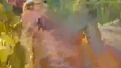 Snapshot of scoutiii chatting on November 21, 2025, 6:01 am scoutiii online show from November 21, 2025, 6:01 am