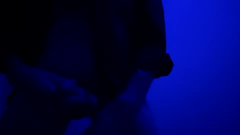 Snapshot of seanlydo chatting on October 13, 2025, 5:40 am SeanWadGodDamn online show from October 13, 2025, 5:40 am