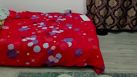 Snapshot of sexxymuscles4u chatting on January 23, 2025, 11:15 am Sexxymuscles4U online show from January 23, 2025, 11:15 am