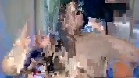 Snapshot of sexy_devotion chatting on February 17, 2025, 7:47 am ALFREA online show from February 17, 2025, 7:47 am