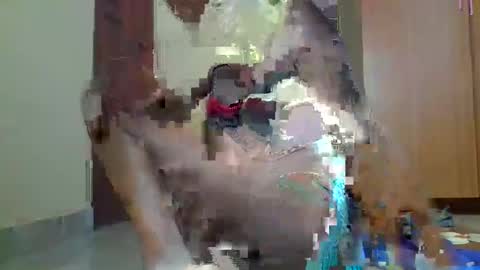 Snapshot of sexybilha483 chatting on February 22, 2025, 11:57 am Sexybilha483 online show from February 22, 2025, 11:57 am