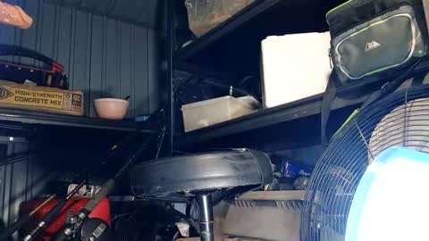 sexymanfl239 online show from November 18, 2025, 12:16 am