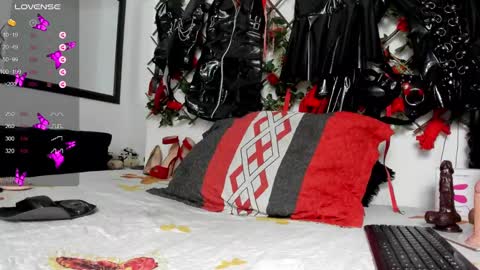 Snapshot of shengyi_blue chatting on December 29, 2024, 9:17 am  anyela7773 online show from December 29, 2024, 9:17 am