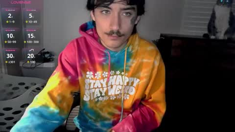 Snapshot of silly_cybin chatting on January 14, 2025, 12:24 pm cybin online show from January 14, 2025, 12:24 pm