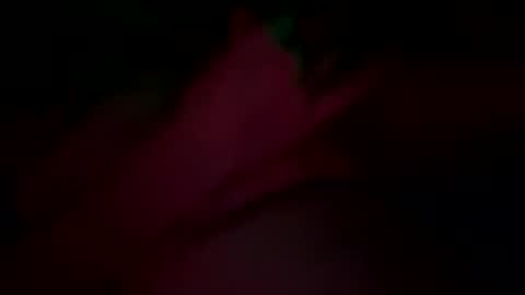 sir04 online show from September 29, 2025, 12:38 am