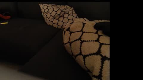 Snapshot of sissygirlalexandra chatting on January 26, 2025, 1:31 am sissygirlalexandra online show from January 26, 2025, 1:31 am