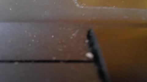 Snapshot of slimy_cunt chatting on January 29, 2025, 1:27 am Jemila online show from January 29, 2025, 1:27 am