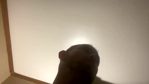 Snapshot of smokeymt420 chatting on March 8, 2025, 6:54 am smokeymt420 online show from March 8, 2025, 6:54 am