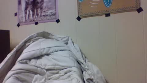 Snapshot of snake1eye67959 chatting on December 24, 2024, 12:11 am snake1eye67959 online show from December 24, 2024, 12:11 am