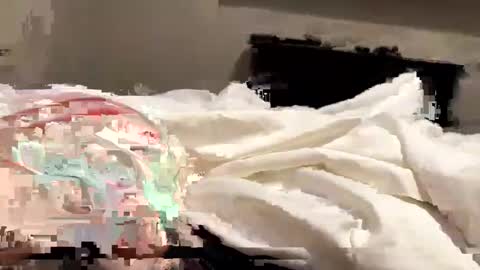 Snapshot of softslickandsweet chatting on February 4, 2025, 6:49 pm softslickandsweet online show from February 4, 2025, 6:49 pm