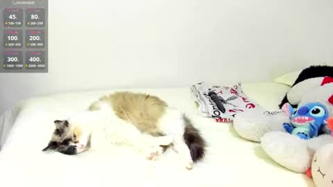 Snapshot of sophiebaker__ chatting on September 20, 2025, 1:50 am sophiebaker__ online show from September 20, 2025, 1:50 am
