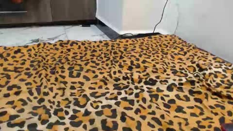 Snapshot of spice_queen chatting on September 13, 2025, 12:43 am dela online show from September 13, 2025, 12:43 am