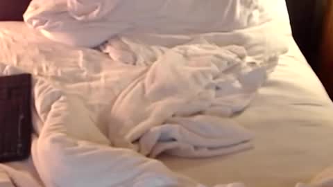 Snapshot of st8llion chatting on January 11, 2025, 2:41 am st8llion online show from January 11, 2025, 2:41 am