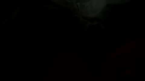 Snapshot of stockungs chatting on February 14, 2025, 10:38 am stockungs online show from February 14, 2025, 10:38 am