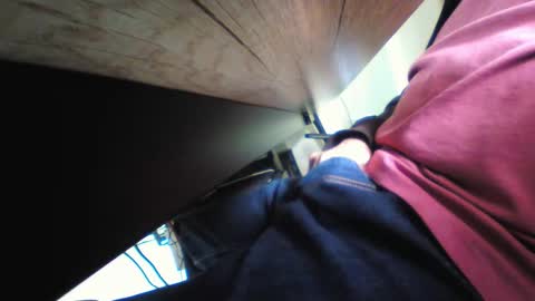 shrek online show from November 17, 2025, 11:54 pm