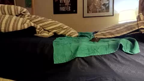 Snapshot of stoppageflo45662 chatting on October 24, 2025, 10:55 am stoppageflo45662 online show from October 24, 2025, 10:55 am