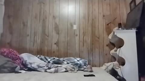 Snapshot of straighttoy chatting on March 3, 2025, 5:09 am straighttoy online show from March 3, 2025, 5:09 am