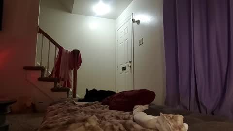 Strawberrylotsacake online show from September 17, 2025, 5:31 am