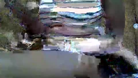 Snapshot of submissive_slut001 chatting on January 12, 2025, 11:50 am submissive_slut001 online show from January 12, 2025, 11:50 am