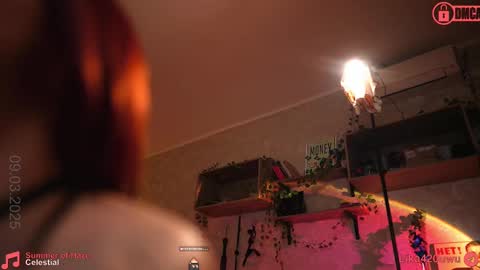 Snapshot of suk_ki chatting on March 9, 2025, 8:42 pm Lika ginger  Jessy blond   online show from March 9, 2025, 8:42 pm