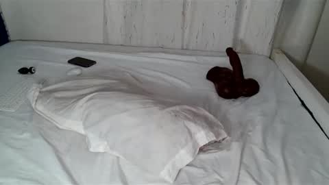 Snapshot of talisha254 chatting on December 3, 2024, 3:30 am butterflyass online show from December 3, 2024, 3:30 am