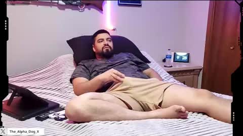 Snapshot of the_alpha_dog_xxx chatting on September 13, 2025, 2:28 pm the_alpha_dog_xxx online show from September 13, 2025, 2:28 pm