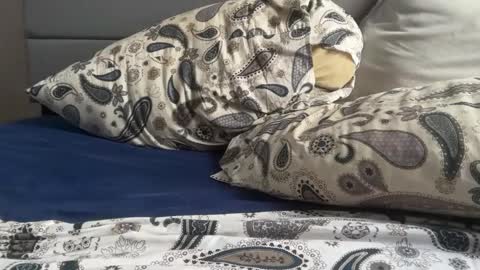 Snapshot of theeshooterr chatting on December 5, 2024, 6:22 pm theeshooterr online show from December 5, 2024, 6:22 pm