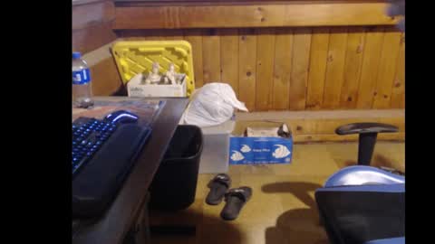 Snapshot of therealbigcheese0695 chatting on October 29, 2025, 8:21 pm therealbigcheese0695 online show from October 29, 2025, 8:21 pm