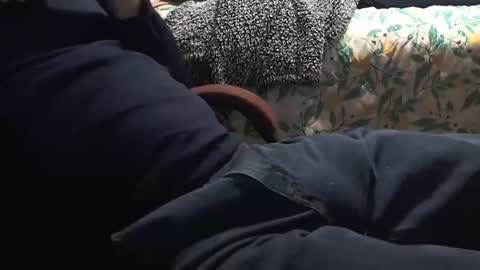 Snapshot of thetnguy chatting on January 12, 2025, 3:17 am thetnguy online show from January 12, 2025, 3:17 am