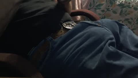 Snapshot of thetnguy chatting on October 6, 2025, 12:24 pm thetnguy online show from October 6, 2025, 12:24 pm