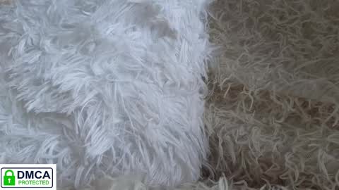 Snapshot of tia_j chatting on January 16, 2025, 11:58 am tia_j online show from January 16, 2025, 11:58 am