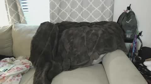 Snapshot of tittee_mcgee chatting on September 19, 2025, 6:41 pm tittee mcgee online show from September 19, 2025, 6:41 pm