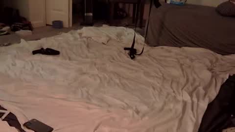 Snapshot of trickquestion chatting on February 23, 2025, 8:49 am trickquestion online show from February 23, 2025, 8:49 am