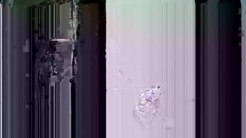 Snapshot of turromantiko2211 chatting on January 9, 2025, 1:50 am turromantiko2211 online show from January 9, 2025, 1:50 am