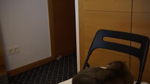 Snapshot of twinksweetlovehot chatting on December 5, 2024, 5:06 pm twinksweetlovehot online show from December 5, 2024, 5:06 pm