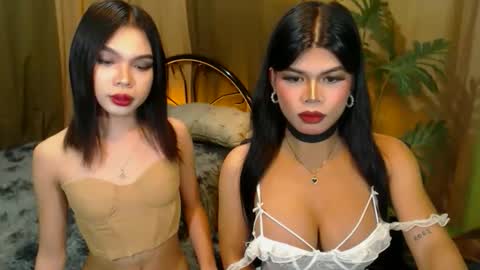 Snapshot of twinktransshanel chatting on October 20, 2025, 10:16 am twinktransshanel online show from October 20, 2025, 10:16 am