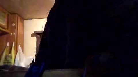 Snapshot of twiztidleeanna69 chatting on February 1, 2025, 12:05 pm Tintilizing Excitement online show from February 1, 2025, 12:05 pm